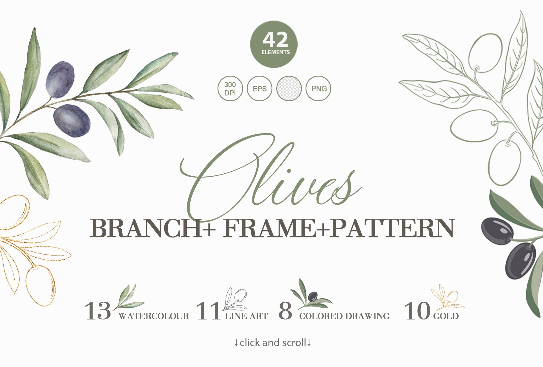Olive Branch, Frame & Pattern. Botanical Clipart Collection