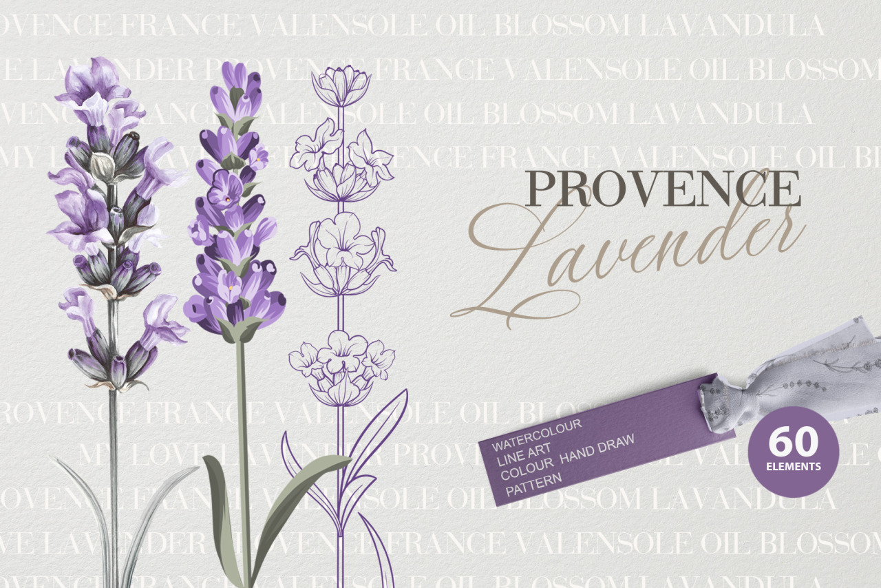 Provence Lavender. Flower Set